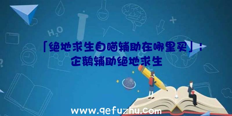 「绝地求生自瞄辅助在哪里买」|企鹅辅助绝地求生